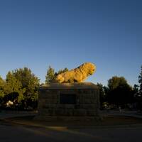 The Stone Lion